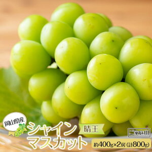 yӂ邳Ɣ[ŁzRY Ԃǂ 2025N ƒp VC}XJbg  400g×2[ v800g uhE t[c ʕ | t[c ʕ  Hi lC  