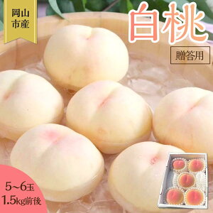 yӂ邳Ɣ[Łz 2026N p R  5ʁ`6 1.5kg O  RY Y t[c ʕ Mtg 듍 |  t[c ʕ  Hi lC  
