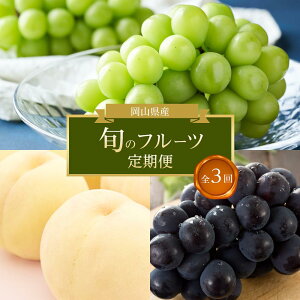 yӂ邳Ɣ[ŁzyS3R[Xz2026N RY@{̃t[c | t[c ʕ  Hi lC  