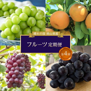 yӂ邳Ɣ[Łzt[c 2026NyS4R[Xz̍R t[c | t[c ʕ  Hi lC  