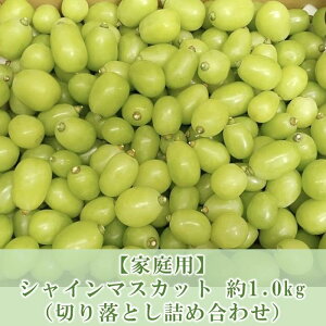 yӂ邳Ɣ[ŁzԂǂ }XJbg ƒp 2025N s\ 9ȍ~ VC}XJbg 1.0kg y ؂藎Ƃ lߍ킹 z uhE  Rs Y t[c ʕ