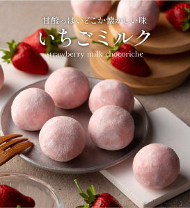yӂ邳Ɣ[Łz󂠂 VRbV 480g`550g 19`24 4킩Iׂ Ⓚ Mtg XC[c `R `R   e   `R[g gt ~