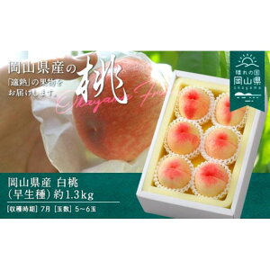 yӂ邳Ɣ[Łz 2026N RY ij 1.3kg 5`6ʁiN[ցj | t[c ʕ  Hi lC  