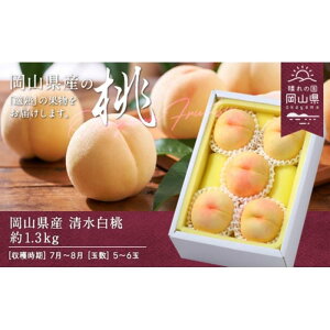 yӂ邳Ɣ[Łz 2026N RY  1.3kg 5`6ʁiN[ցj | t[c ʕ  Hi lC  