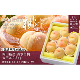 【ふるさと納税】桃 2027年 岡山県産 清水白桃 大玉 約2.2kg 6～7玉（クール便） | フルーツ 果物 くだもの 食品 人気 おすすめ 送料無料