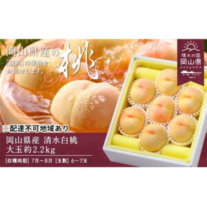yӂ邳Ɣ[Łz 2026N RY   2.2kg 6`7ʁiN[ցj | t[c ʕ  Hi lC  