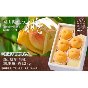 yӂ邳Ɣ[Łz 2025N s\ RY iӐj 1.3kg 5`6ʁiN[ցj | t[c ʕ  Hi lC  