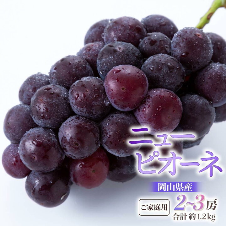 ぶどう】【一次予約】山の湧水で育った葡萄シャイン瀬戸ピオーネ 