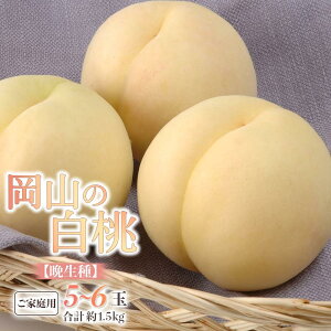 yӂ邳Ɣ[Łz 2026N ƒp iӐj 5`6 v1.5kg   RY Y t[c ʕ Mtg |  t[c ʕ  Hi lC  