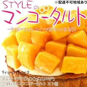 yӂ邳Ɣ[ŁztbV^g X uSTYLEv }S[ ^g 1i5 15cm 900gj ґȃTNTN Z N[ ɏ }S[ fU[g | َq  XC[c fU[g Hi lC 