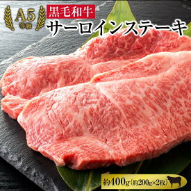 【ふるさと納税】A5等級 黒毛 和牛 サーロインステーキ 約400g（約200g×2枚）岡山県産 | 肉 お肉 にく 食品 ●●産 人気 おすすめ 送料無料 ギフト