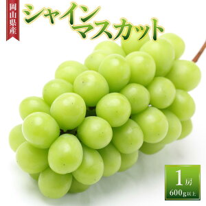 yӂ邳Ɣ[ŁzԂǂm2025NnVC}XJbg 1[ 600gȏ RY | t[c ʕ  Ԃǂ uhE VC}XJbg Y RY Hi lC   Mtg 