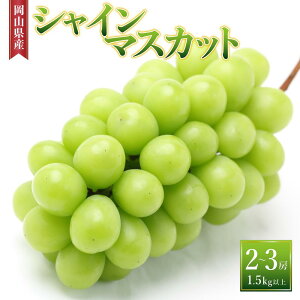 yӂ邳Ɣ[ŁzԂǂm2025NnVC}XJbg 2[`3[i1.5kgȏjRY | t[c ʕ  Ԃǂ uhE VC}XJbg Y RY Hi lC  
