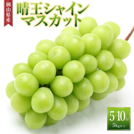 【ふるさと納税】ぶどう［2025年先行予約］晴王 シャインマスカット 5房～10房（5kg以上）岡山県産 | フルーツ 果物 くだもの 食品 人気 おすすめ 送料無料