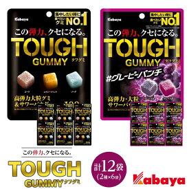 【ふるさと納税】カバヤ　タフグミ 2種×6袋 計12袋（タフグミ・タフグミ グレーピーパンチ）＜集中したい時に食べたいグミブランドNo.1＞ | カバヤ食品 kabaya かばや グミ ぐみ TOUGHグミ お菓子 おやつ 大容量 送料無料 岡山市 詰合せ 詰め合わせ セット 食べ比べ