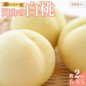 yӂ邳Ɣ[Łz 2026N R  iAj2.0kg 6`8   RY Y t[c ʕ Mtg ؔ_ |  t[c ʕ  Hi lC  