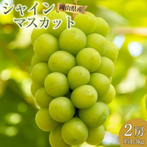 yӂ邳Ɣ[ŁzԂǂ 2025N s\ VC }XJbg 2[ v1.3kg p uhE  RY Y t[c ʕ Mtg ؔ_ | t[c ʕ  Hi lC  