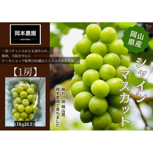 【ふるさと納税】シャインマスカット 1房1.0kg | フルーツ 果物 くだもの 食品 人気 おすすめ 送料無料