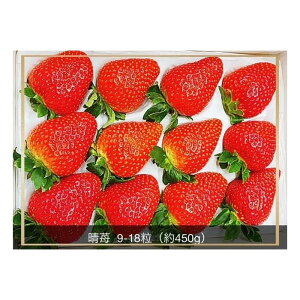 yӂ邳Ɣ[ŁzRsY  9`18 450g ϔ聃2025N12{ȍ~ | ʕ Ԍ   Xgx[ Â  t[c lC    