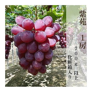 yӂ邳Ɣ[Łzy2025NHzRY  1[ 700gȏ ϔ | ʕ Ԍ Ԃǂ uhE  Â  t[c lC     R 