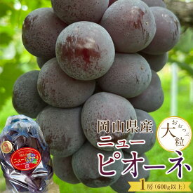 【ふるさと納税】ぶどう 2025年 先行予約 岡山県産 大粒 ニューピオーネ 1房（600g以上）農園直送 朝採れ | フルーツ 果物 くだもの 食品 人気 おすすめ 送料無料