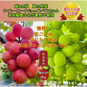 yӂ邳Ɣ[ŁzԂǂ2026N NC[j[i VC}XJbg I Gi  2kg _ёb܎ R Y ʕ t[c VC }XJbg2026N8{甭 | t[c 