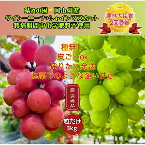 yӂ邳Ɣ[ŁzԂǂ2026N NC[j[i VC}XJbg I Gi  3kg _ёb܎ R Y ʕ t[c VC }XJbg 2026N8{甭 | t[c 