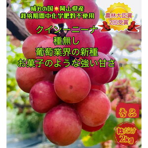 yӂ邳Ɣ[ŁzԂǂ 2025N s\ NC[j[i Gi  2kg R Y ʕ t[c 2025N8{甭 | t[c ʕ  Hi lC  