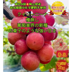 yӂ邳Ɣ[ŁzԂǂ2026N NC[j[i Gi  3kg R Y ʕ t[c 2026N8{甭 | t[c ʕ  Hi lC  