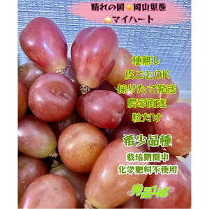 yӂ邳Ɣ[ŁzԂǂ 2025N s\ }Cn[g Gi  1kg R Y ʕ t[c 2025N8{甭 | t[c ʕ  Hi lC  