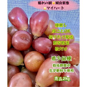 yӂ邳Ɣ[ŁzԂǂ 2025N s\ }Cn[g Gi  2kg R Y ʕ t[c 2025N8{甭 | t[c ʕ  Hi lC  