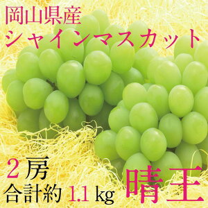 �y�ӂ邳�Ɣ[�Łz[HS]�Ԃǂ� 2026�N 9���E10������ �V���C�� �}�X�J�b�g ���� 2�[�i���v��1.1kg�j �u�h�E ���� ���R���Y ���Y �t���[�c �ʕ� �M�t�g | �t���[�c �ʕ� �������� �H�i �l�C �������� 