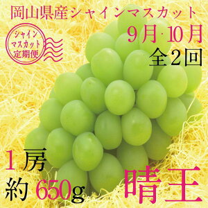 �y�ӂ邳�Ɣ[�Łz[HS]�y����� �S2��z�Ԃǂ� 2026�N 9���E10������ �V���C�� �}�X�J�b�g ���� 1�[ ��650g �u�h�E ���� ���R���Y ���Y �t���[�c �ʕ� �M�t�g | �t���[�c �ʕ� �������� �H�i �l�C ��