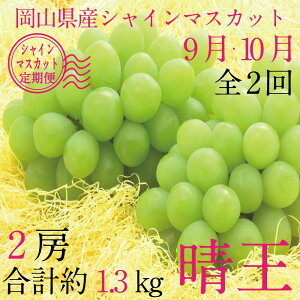 �y�ӂ邳�Ɣ[�Łz[HS]�y����� �S2��z�Ԃǂ� 2026�N 9���E10������ �V���C�� �}�X�J�b�g ���� 2�[�i���v��1.3kg�j �u�h�E ���� ���R���Y ���Y �t���[�c �ʕ� �M�t�g | �t���[�c �ʕ� �������� �H