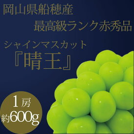 【ふるさと納税】[HS]ぶどう 2026年 9月・10月発送 最高級品シャイン マスカット 晴王 1房 約600g ブドウ 葡萄 岡山県産 船穂産 フルーツ 果物 ギフト | フルーツ 果物 くだもの 食品 人気 おすすめ 送料無料