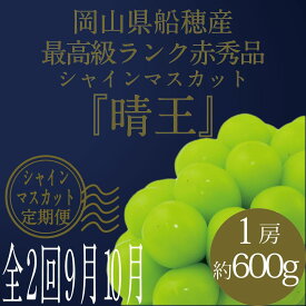 【ふるさと納税】[HS]【定期便 全2回】ぶどう 2026年 9月・10月発送 最高級品シャイン マスカット 晴王 1房 約600g ブドウ 葡萄 岡山県産船穂産 フルーツ 果物 ギフト | フルーツ 果物 くだもの 食品 人気 おすすめ 送料無料