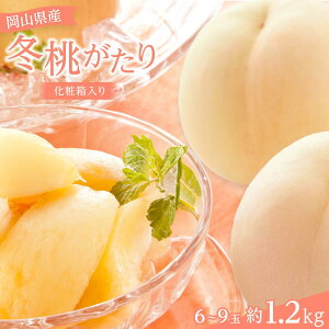 yӂ邳Ɣ[Łzy2025Ns\z RY ~6`9 1.2kg ϔ | ʕ Ԍ   momo Â  t[c lC     R 