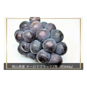 yӂ邳Ɣ[Łzy2025Ns\zRY I[ubN 2[ v940g | ʕ Ԍ Ԃǂ  uhE Â  t[c lC     R
