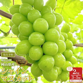 【ふるさと納税】ぶどう 2026年 シャインマスカット 厳選 秀品 約2kg 3～5房 農林大臣賞受賞 岡山 国産 果物 フルーツ シャイン マスカット 2026年7月上旬から発送 | フルーツ 果物 くだもの 食品 人気