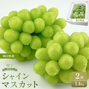 yӂ邳Ɣ[Łzy2025N9ȍ~zRY Iׂ VC}XJbg  1[`5[i 550g`1.4kg j 햳 炲ƐHׂ tbV st nmt[c