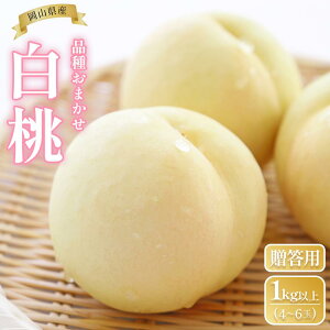 �y�ӂ邳�Ɣ[�Łz�� 2026�N ���R���Y �����p ���� 1kg�ȏ�i4�`6�ʁj �i�킨�܂�����6�����{�ȍ~������