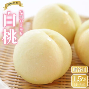 �y�ӂ邳�Ɣ[�Łz�� 2026�N ���R���Y �����p ���� 1.5kg�ȏ�i4�`6�ʁj �i�킨�܂�����6�����{�ȍ~������