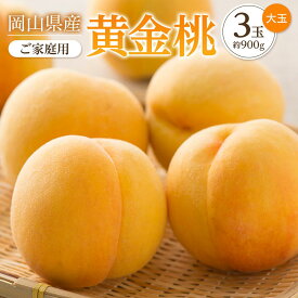 【ふるさと納税】桃 2026年 ご家庭用 おかやま の 黄金桃 大玉 3玉（合計約900g） もも モモ 岡山県産 国産 フルーツ 果物 | もも フルーツ 果物 くだもの 食品 人気 おすすめ 送料無料