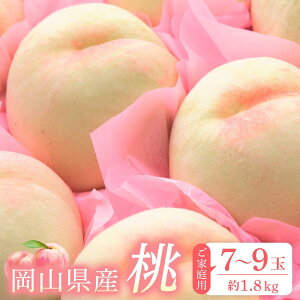 yӂ邳Ɣ[Łz 2026N ƒp    1.8kgi7`9ʁj   RY Y t[c ʕ |  t[c ʕ  Hi lC  