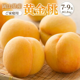 【ふるさと納税】桃 2026年 ご家庭用 おかやま の 黄金桃 約1.8kg（7～9玉） もも モモ 岡山県産 国産 フルーツ 果物 | もも フルーツ 果物 くだもの 食品 人気 おすすめ 送料無料
