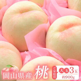 【ふるさと納税】桃 2026年 ご家庭用 おかやま の 桃 大玉 3玉（合計約900g） もも モモ 岡山県産 国産 フルーツ 果物 | もも フルーツ 果物 くだもの 食品 人気 おすすめ 送料無料