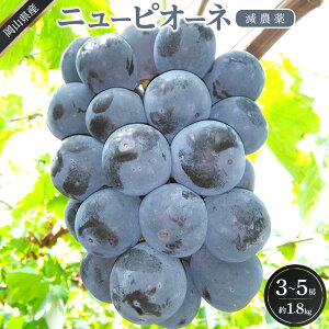 �y�ӂ邳�Ɣ[�Łz�Ԃǂ� 2026�N �j���[ �s�I�[�l ��1.8kg 3�`5�[ ���_�� �͔| �u�h�E ���� ���R���Y ���Y �t���[�c �ʕ� �M�t�g �΂�̔_�� | �t���[�c �ʕ� �������� �H�i �l�C �������� ������