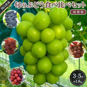 �y�ӂ邳�Ɣ[�Łz�Ԃǂ� 2026�N �{�̂Ԃǂ��H�ה�׃Z�b�g ��1.8kg 3�`5�[ ���_�� �n�E�X�͔| �u�h�E ���� ���R���Y ���Y �t���[�c �ʕ� �M�t�g �΂�̔_�� | �t���[�c �ʕ� �������� �H�i �l�C 