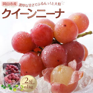 yӂ邳Ɣ[ŁzԂǂ 2026N NC[j[i 2[ v1kg 햳 uhE  RsY Y t[c ʕ n粔_ | t[c ʕ  Hi lC  