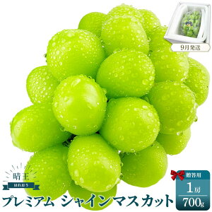 yӂ邳Ɣ[Łz2025N\t v~A@VC}XJbg@ 1[@700g@VC}XJbg }XJbg Ԃǂ  RY ԏGi 햳 | t[c ʕ  Hi 